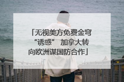 无视美方免费金穹“诱惑” 加拿大转向欧洲谋国防合作