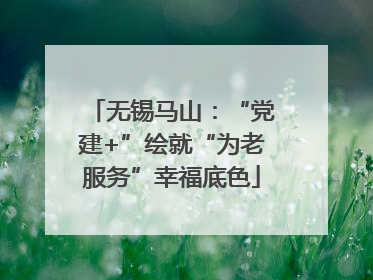 无锡马山：“党建+”绘就“为老服务”幸福底色