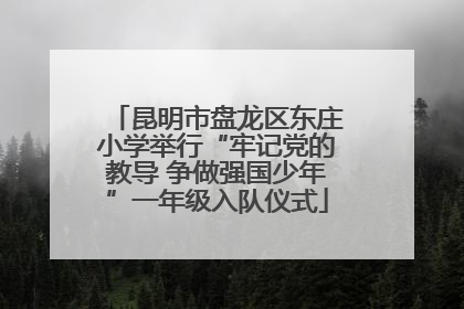 昆明市盘龙区东庄小学举行“牢记党的教导 争做强国少年”一年级入队仪式