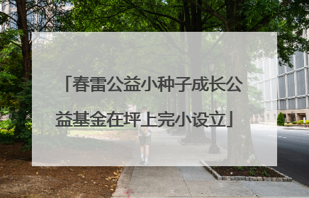 春雷公益小种子成长公益基金在坪上完小设立