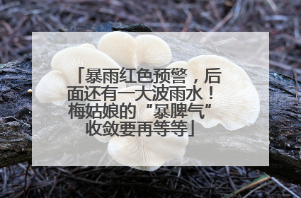 暴雨红色预警，后面还有一大波雨水！梅姑娘的“暴脾气”收敛要再等等