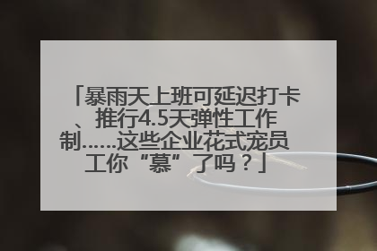 暴雨天上班可延迟打卡、推行4.5天弹性工作制……这些企业花式宠员工你“慕”了吗？