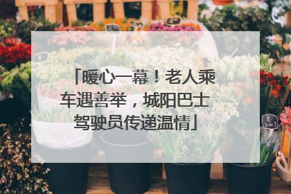 暖心一幕！老人乘车遇善举，城阳巴士驾驶员传递温情