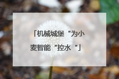 机械城堡“为小麦智能“控水“