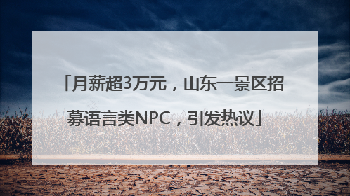 月薪超3万元，山东一景区招募语言类NPC，引发热议