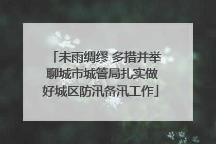 未雨绸缪 多措并举 聊城市城管局扎实做好城区防汛备汛工作