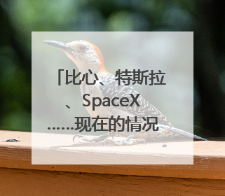 比心、特斯拉、SpaceX……现在的情况有点微妙