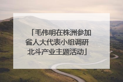 毛伟明在株洲参加省人大代表小组调研北斗产业主题活动