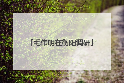 毛伟明在衡阳调研