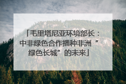 毛里塔尼亚环境部长：中非绿色合作播种非洲“绿色长城”的未来