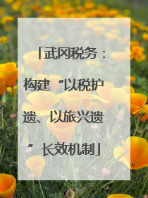 武冈税务：构建“以税护遗、以旅兴遗”长效机制