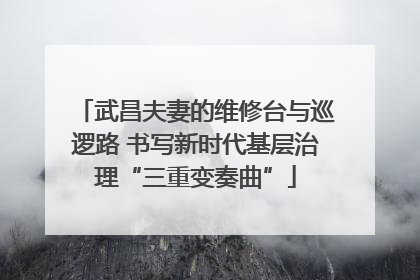 武昌夫妻的维修台与巡逻路 书写新时代基层治理“三重变奏曲”
