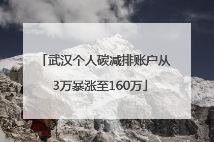 武汉个人碳减排账户从3万暴涨至160万