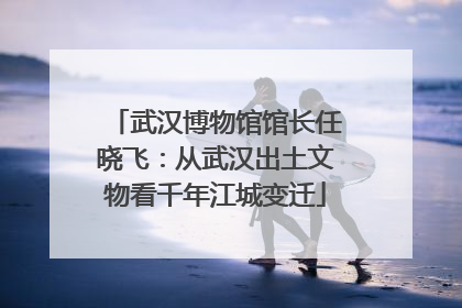武汉博物馆馆长任晓飞：从武汉出土文物看千年江城变迁