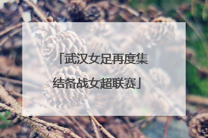武汉女足再度集结备战女超联赛
