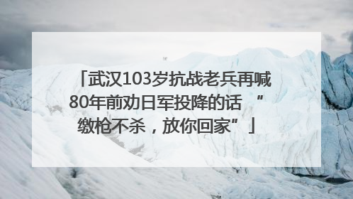 武汉103岁抗战老兵再喊80年前劝日军投降的话 “缴枪不杀，放你回家”