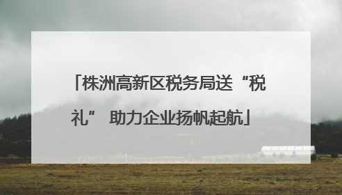 株洲高新区税务局送“税礼” 助力企业扬帆起航