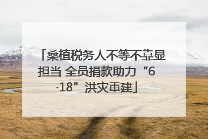 桑植税务人不等不靠显担当 全员捐款助力“6·18”洪灾重建