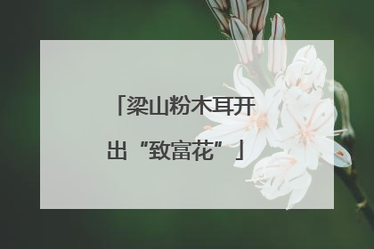 梁山粉木耳开出“致富花”