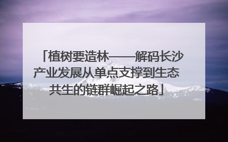 植树要造林——解码长沙产业发展从单点支撑到生态共生的链群崛起之路