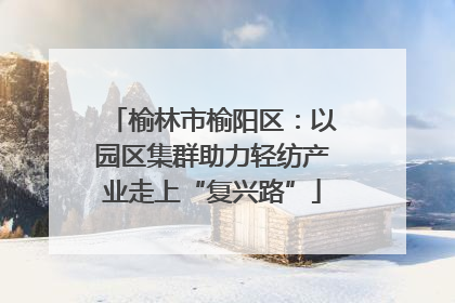 榆林市榆阳区：以园区集群助力轻纺产业走上“复兴路”