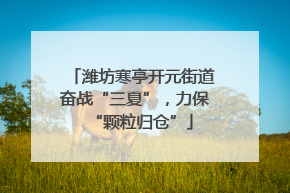 潍坊寒亭开元街道奋战“三夏”，力保“颗粒归仓”