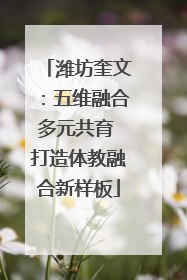 潍坊奎文：五维融合多元共育 打造体教融合新样板