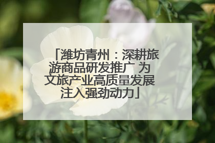 潍坊青州：深耕旅游商品研发推广 为文旅产业高质量发展注入强劲动力