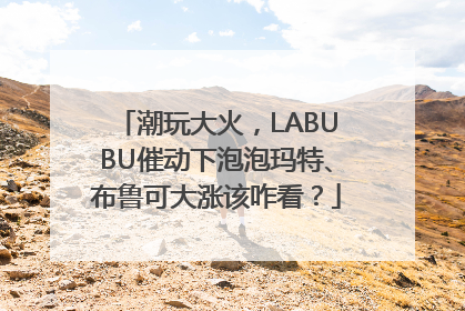 潮玩大火，LABUBU催动下泡泡玛特、布鲁可大涨该咋看？