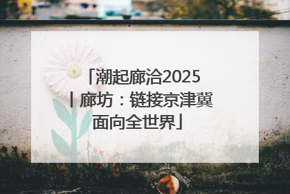 潮起廊洽2025丨廊坊：链接京津冀 面向全世界