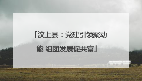 汶上县：党建引领聚动能 组团发展促共富