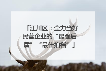 江川区：全力当好民营企业的“最强后盾”“最佳拍档”