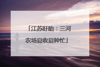 江苏盱眙：三河农场夏收夏种忙