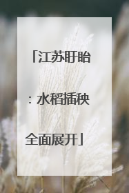江苏盱眙：水稻插秧全面展开