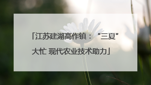 江苏建湖高作镇：“三夏”大忙 现代农业技术助力