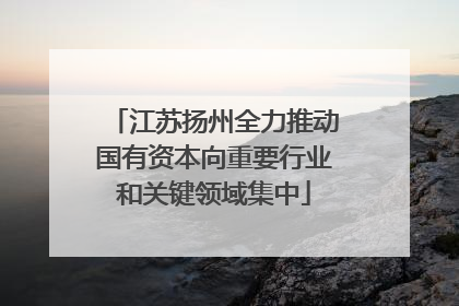 江苏扬州全力推动国有资本向重要行业和关键领域集中