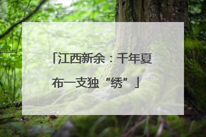 江西新余：千年夏布一支独“绣”