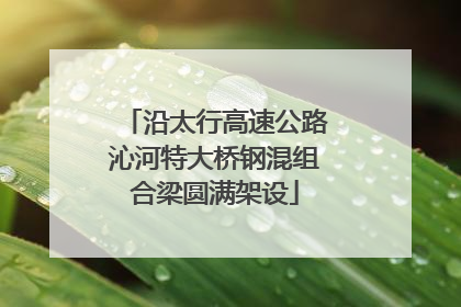 沿太行高速公路沁河特大桥钢混组合梁圆满架设