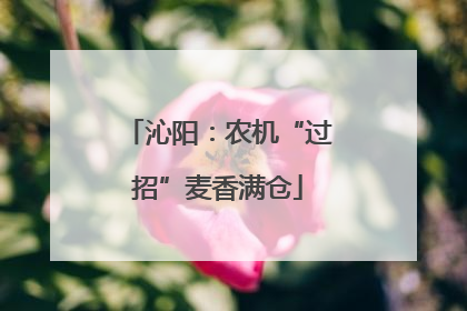 沁阳：农机“过招”麦香满仓