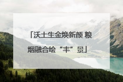 沃土生金焕新颜 粮烟融合绘“丰”景