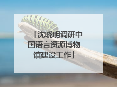 沈晓明调研中国语言资源博物馆建设工作