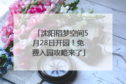 沈阳稻梦空间5月28日开园！免费入园攻略来了