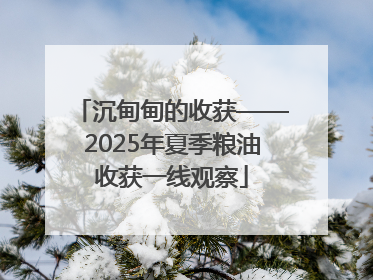沉甸甸的收获——2025年夏季粮油收获一线观察