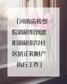 河南省检察院调研组到濮阳调研指导社区矫正和财产执行工作