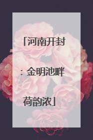 河南开封：金明池畔荷韵浓