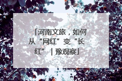 河南文旅，如何从“网红”变“长红”｜豫观察