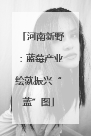 河南新野：蓝莓产业绘就振兴“蓝”图