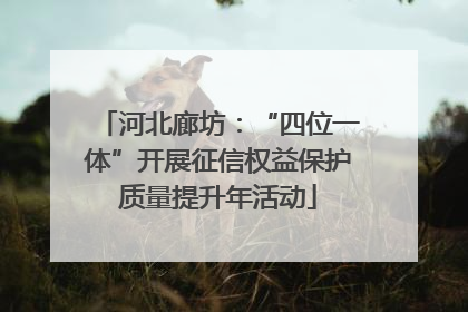 河北廊坊：“四位一体”开展征信权益保护质量提升年活动