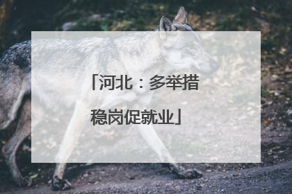 河北：多举措稳岗促就业
