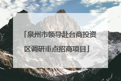 泉州市领导赴台商投资区调研重点招商项目